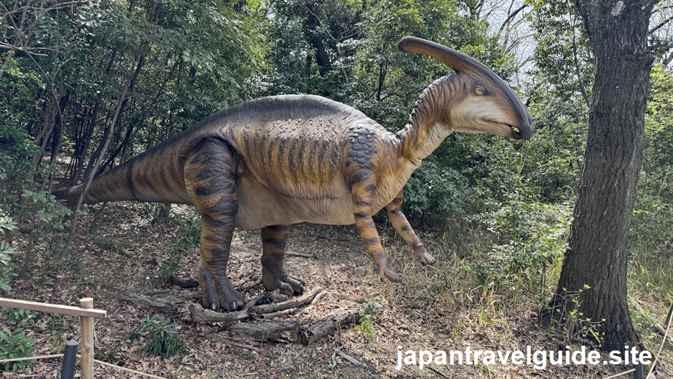 パラサウロロフス:ディノアドベンチャー名古屋の恐竜図鑑(3)