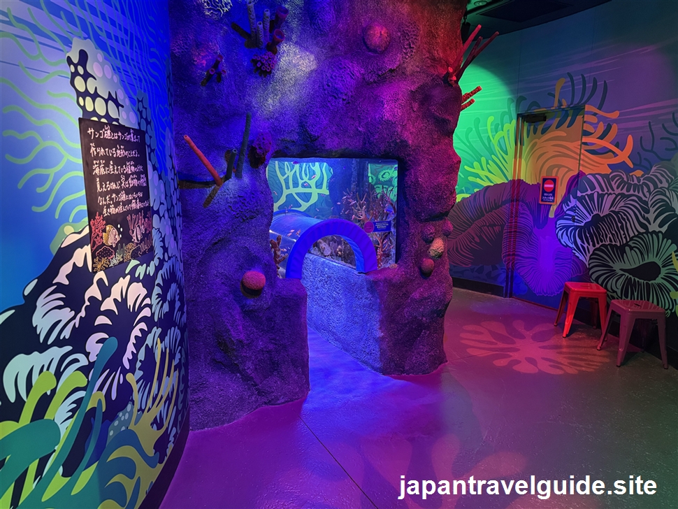 サンゴ礁の海エリア:シーライフ名古屋の水族館の見どころを全部紹介します(1)
